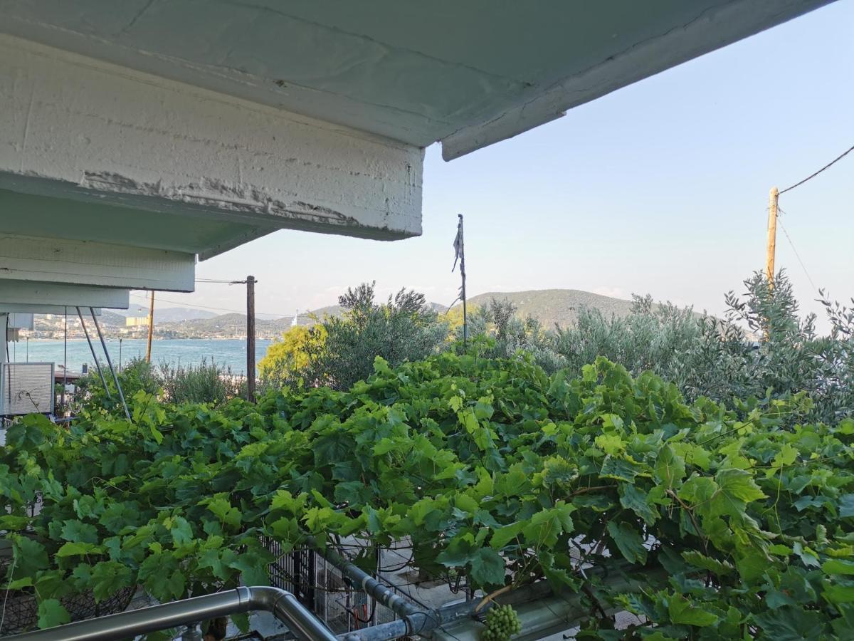 Villa Tasos Néa Péramos 외부 사진